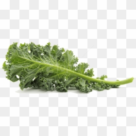 Transparent Background Kale Png, Png Download - arugula png