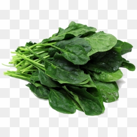 Spinach Png, Transparent Png - arugula png