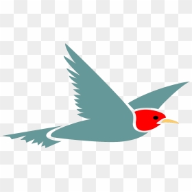 Flying Bird With Transparent Background, HD Png Download - fly flying png