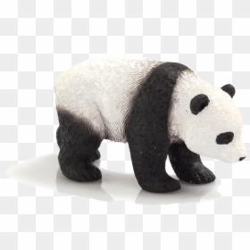Giant Panda, HD Png Download - baby panda png