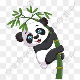 Cute Panda Bamboo, HD Png Download - baby panda png