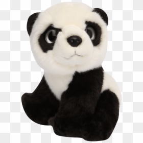 Panda, HD Png Download - baby panda png