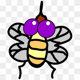 Fly Clip Art, HD Png Download - insect wings png