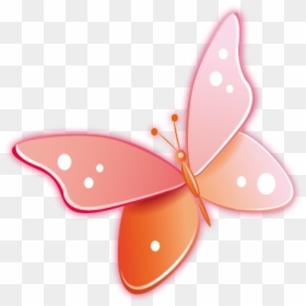 Brush-footed Butterfly, HD Png Download - insect wings png