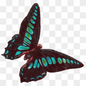 Blue Butterfly Victorian Png, Transparent Png - insect wings png