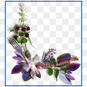 Portable Network Graphics, HD Png Download - rosebush png