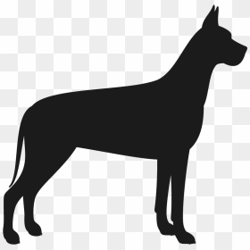 Great Dane Silhouette Transparent, HD Png Download - llama head png