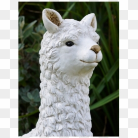 Llama, HD Png Download - llama head png