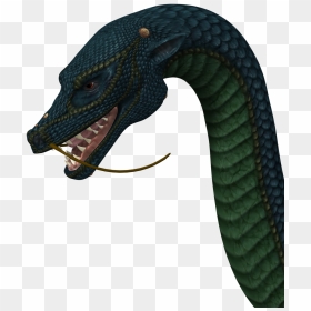 Sakalı Yılan, HD Png Download - reptile eye png