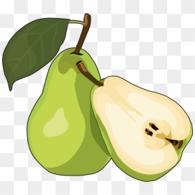 Dibujo De Una Pera, HD Png Download - pear tree png