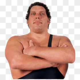 Andre El Gigante Wwe, HD Png Download - hardy boyz png
