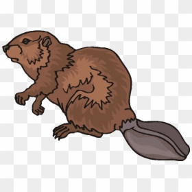 Beaver Clipart, HD Png Download - angry beavers png