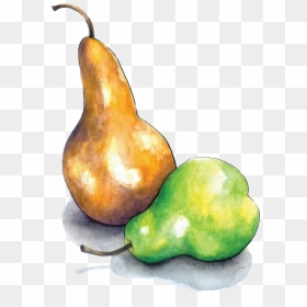 Still Life Photography, HD Png Download - pear tree png