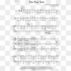 Sheet Music, HD Png Download - pear tree png