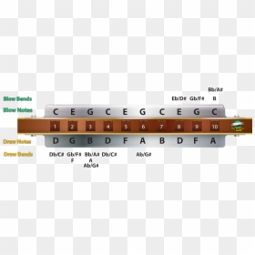 Notes On Ab Harmonica, HD Png Download - song note png