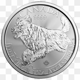 2018 Canada 1 Oz Silver Predator Series Wolf, HD Png Download - raining coins png