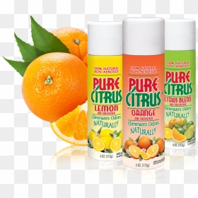 Pure Citrus Air Freshener Scents, HD Png Download - air freshener png