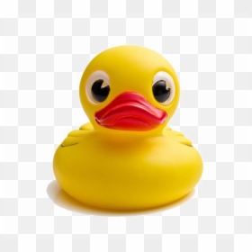 Rubber Duck Front View, HD Png Download - yellow duck png