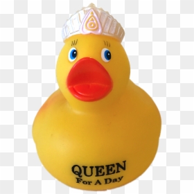 Bath Toy, HD Png Download - yellow duck png