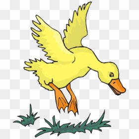 Flying Yellow Duck, HD Png Download - yellow duck png