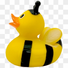 Duck, HD Png Download - yellow duck png