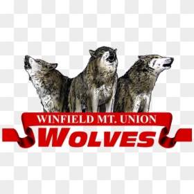 Winfield - Mt. Union Community School, HD Png Download - star wolf png
