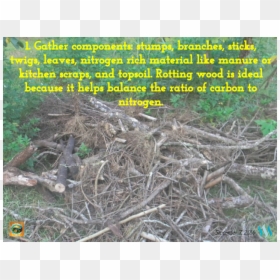 Root, HD Png Download - dirt mound png