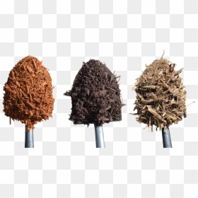 Tree, HD Png Download - dirt mound png