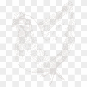 Sketch, HD Png Download - white chicken png