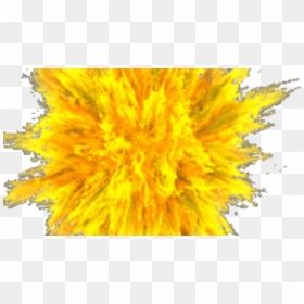 Sunflower, HD Png Download - jackie chan wtf png