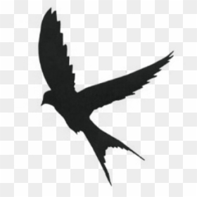 Bird Silhouette Tattoo, HD Png Download - sparrow tattoo png