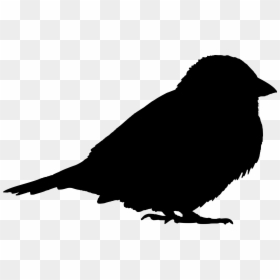 Sparrow Silhouette Svg, HD Png Download - sparrow tattoo png