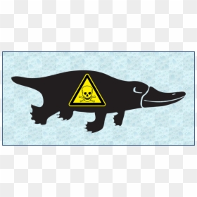 Platypus Png Black, Transparent Png - sabias que png