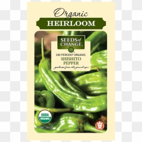 Seeds Of Change Seeds Pepper, HD Png Download - pepper plant png