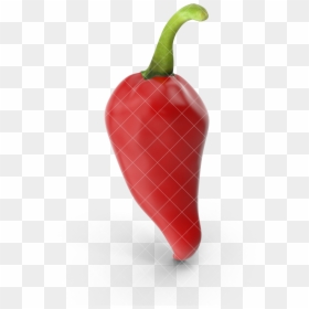 Tabasco Pepper, HD Png Download - pepper plant png