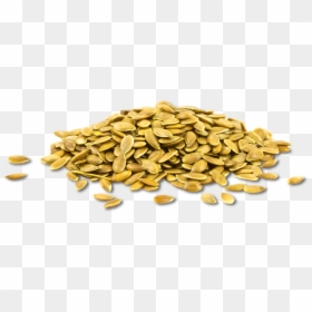 Gold Coin Pile Transparent, HD Png Download - wood pile png