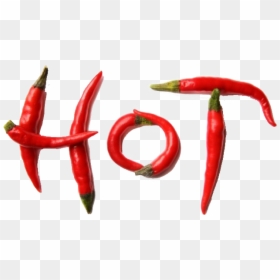 Chili Pepper, HD Png Download - pepper plant png