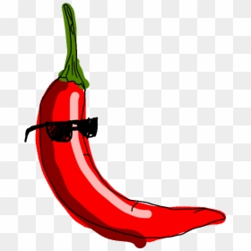 Chili Pepper Drawing, HD Png Download - pepper plant png