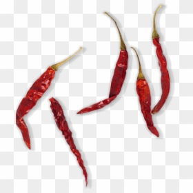 Dried Red Chilli Png, Transparent Png - pepper plant png