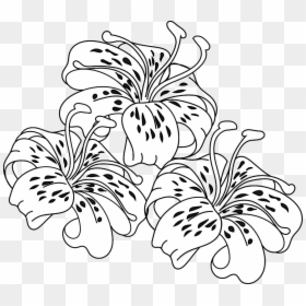 Free Digi Stamps Floral, HD Png Download - tiger lily png