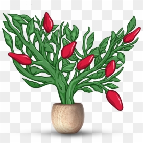 Lady Tulip, HD Png Download - floral header png