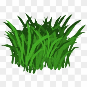 Transparent Background Algae Clipart, HD Png Download - sea plants png