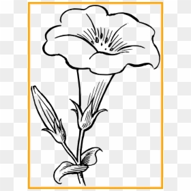 Flower Clipart Black And White, HD Png Download - sea plants png