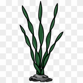 Algas Del Mar Png, Transparent Png - sea plants png