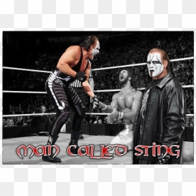 Sting Night Of Champions 2015, HD Png Download - wwe sting png