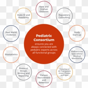 Pediatrician Area Of Study, HD Png Download - health cross png