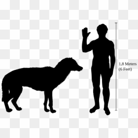 1 Meter Compared To Human, HD Png Download - wolf head silhouette png