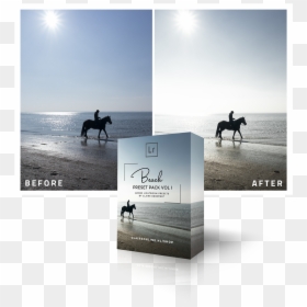 Stallion, HD Png Download - beach silhouette png