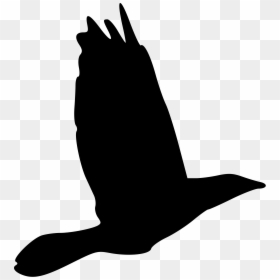 Bird Svg File, HD Png Download - bird drawing png