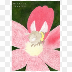 Lily, HD Png Download - pencil shavings png